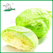 Chou vert frais / Chou en provenance de Chine / Chou de nouvelle culture